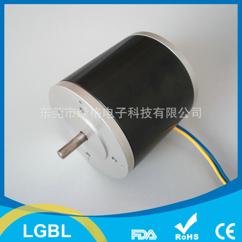BL PUMP LGBL80 Permanent Magnet Brushless Motor Motor