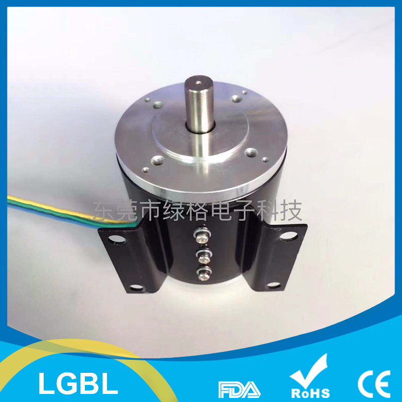 Brushless DC motor